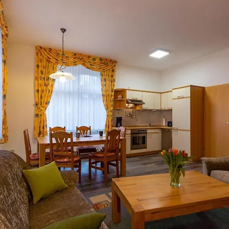 Ender Apartment Sebnitz